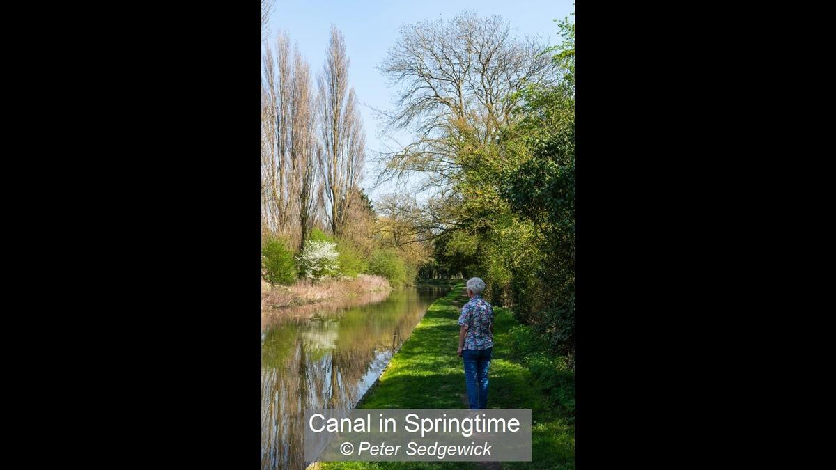06_Canal in Springtime_Peter Sedgewick